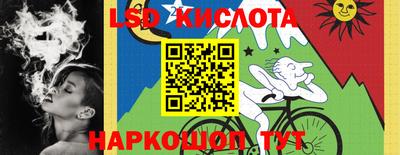 apvp Свободный