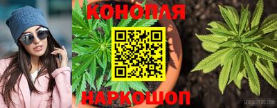 apvp Свободный