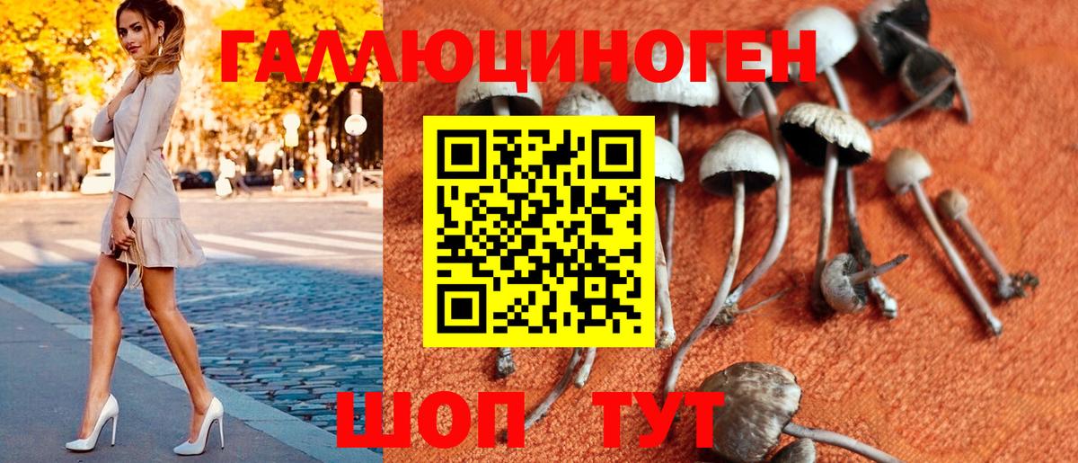 Галлюциногенные грибы мухоморы Магнитогорск