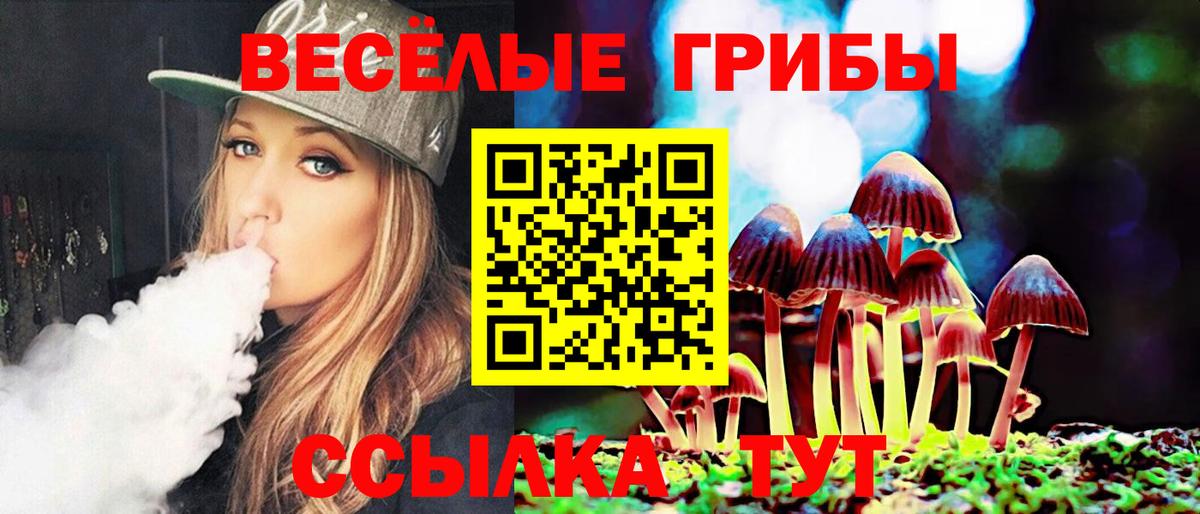Магнитогорск  Псилоцибиновые грибы Psilocybine cubensis  Вход с VPN 